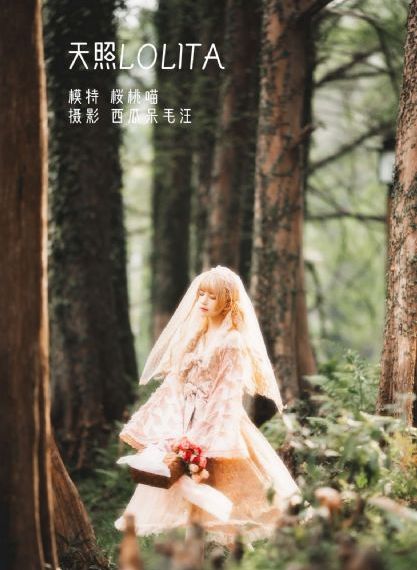 守望爱情电视剧免费观看高清
